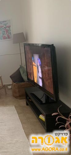 מנורה