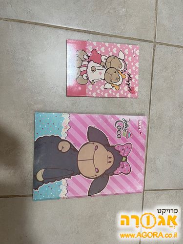 מחברת חשבון ותיקייה של ניקי