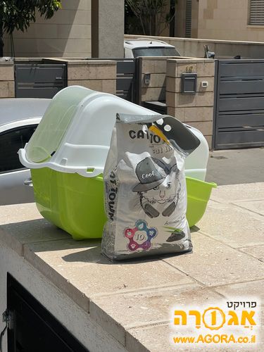 חול ושירותים לחתול