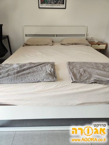 מיטה