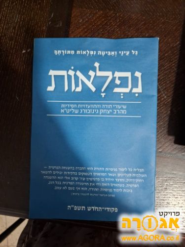 חוברת של הרב יצחק גינזבורג