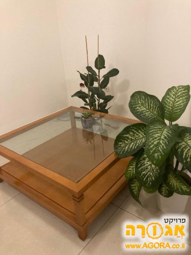 שולחן סלון זכוכית ועץ