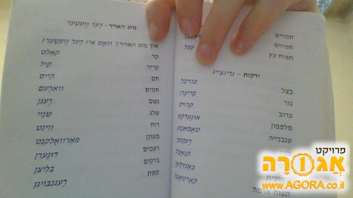 ספר לימוד שפת האידיש