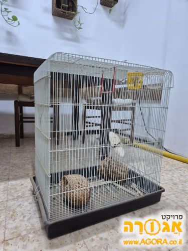 כלוב ציפורים גדול