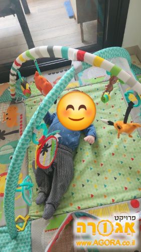 אוניברסיטה לתינוק