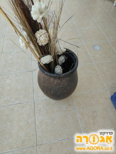 כד יפה