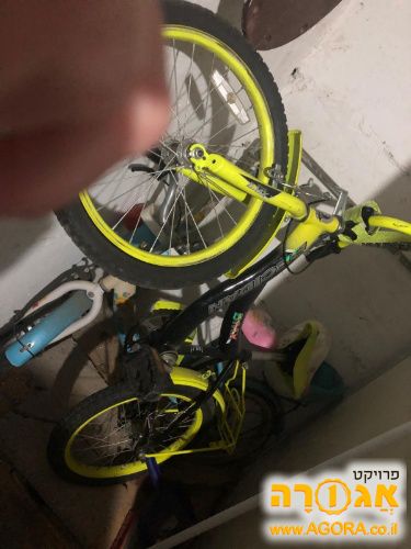 אופני ילדים