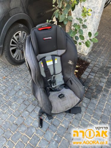 כסא בטיחות לרכב