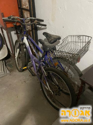 אופניים