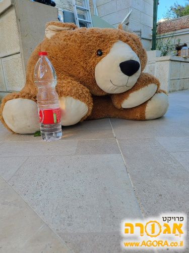 דוב גדול, יכול לשמש כפוף