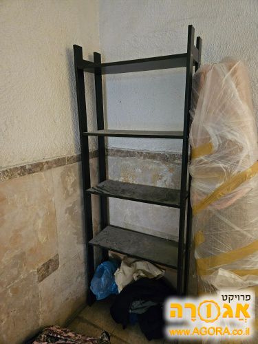 כוננית