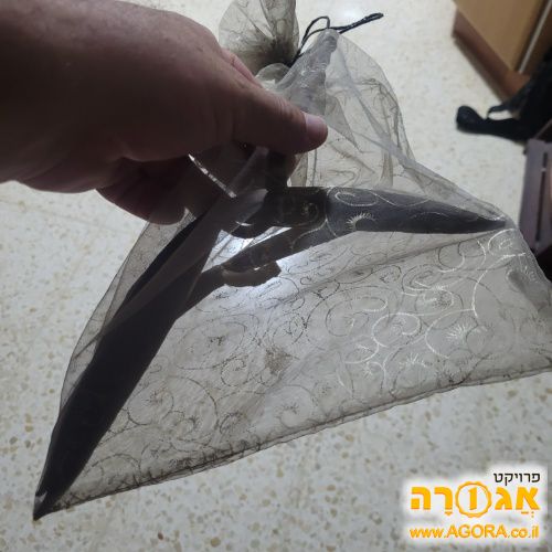 זרעים של עץ הפיטנה פלומריה