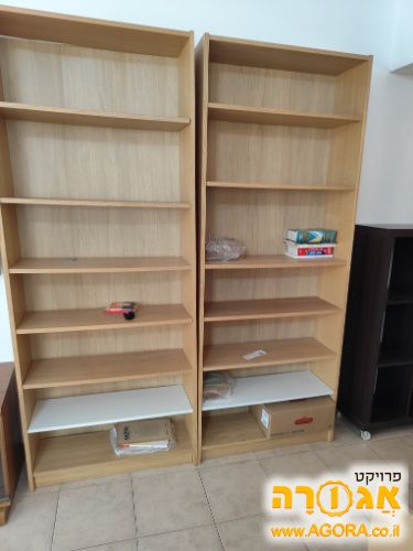 כונניות