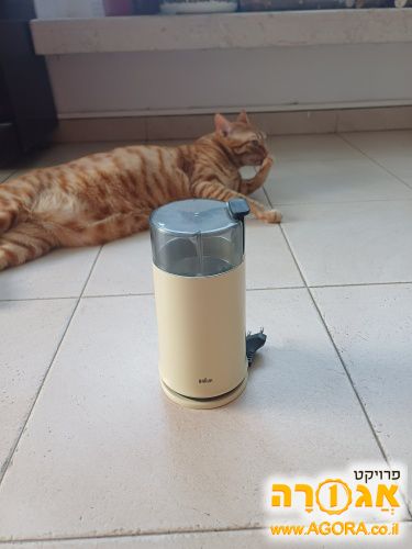 מטחנת קפה קטנה