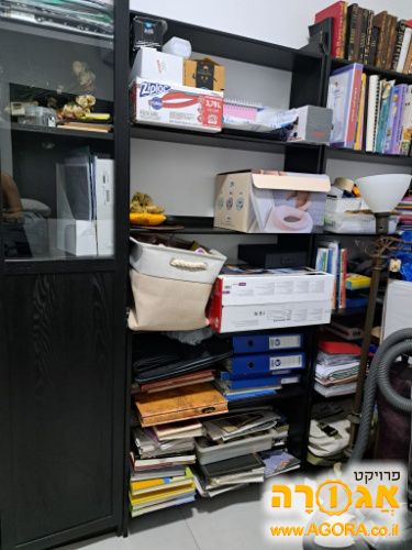 כוננית