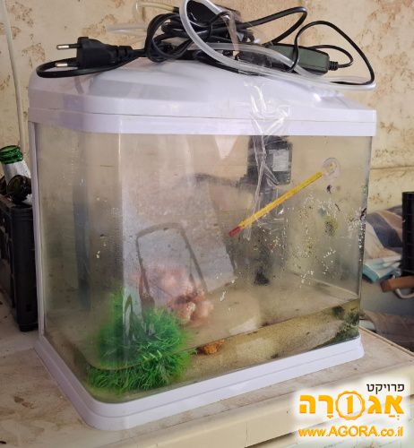 אקווריום