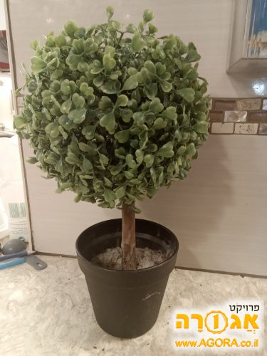 עציץ מלאכותי