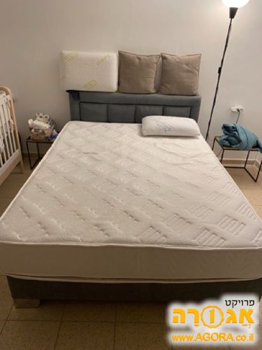 מיטה