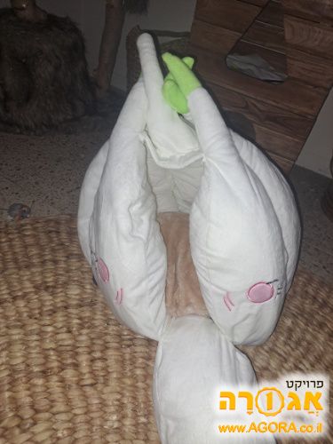 איגלו לחתול