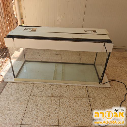 אקווריום