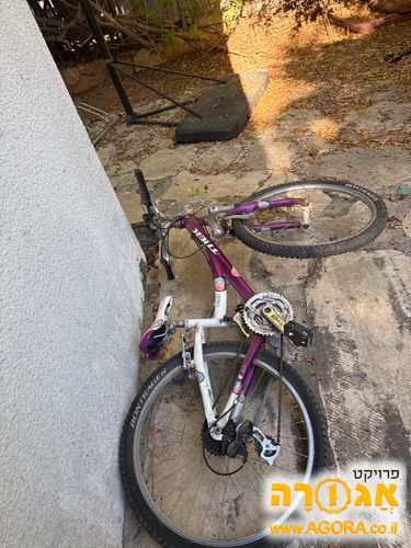 אופניים