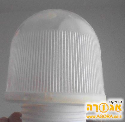 בית מנורה