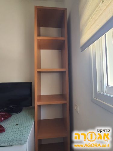 כוננית