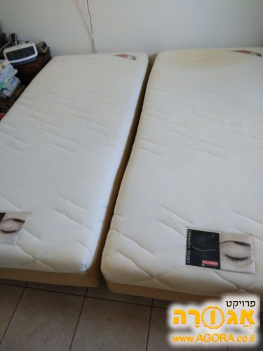 מיטת הולנדיה