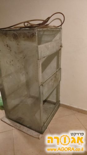 אקווריום