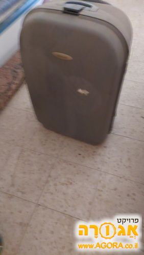מזודה