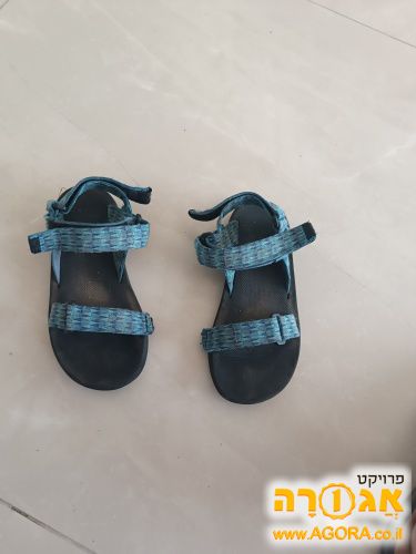 סנדלי שורש