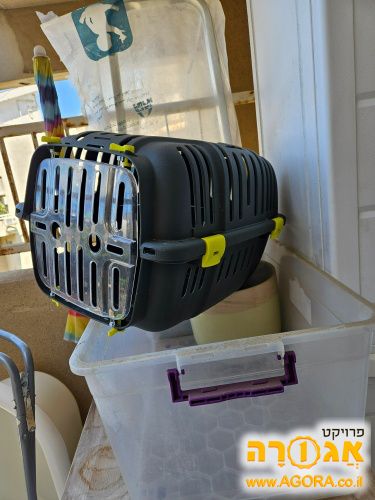 כלוב נשיאה לחתול