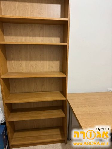 כוננית
