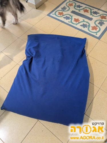 פוף