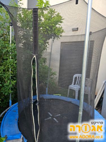 טרמפולינה