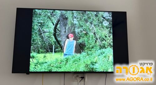 טלויזיה 55 אינץ'