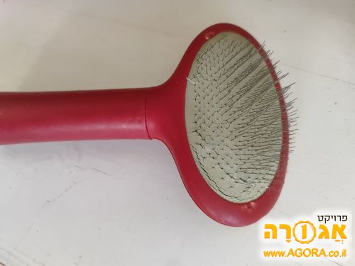 מסרק כלב