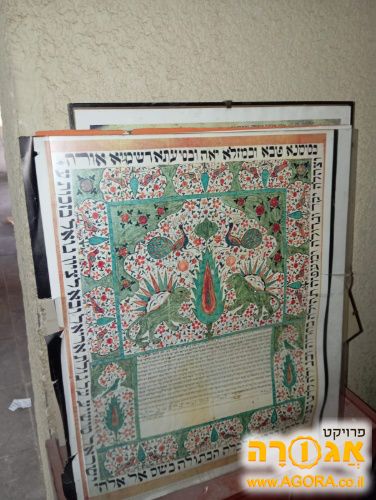 תמונות שונות
