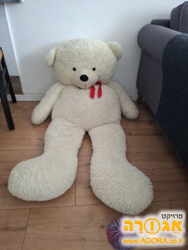 דובי ענק