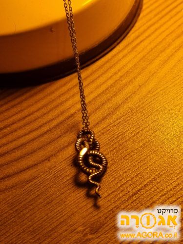 שרשרת מכסף ➕️ תליון של נחש 🐍