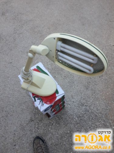 מנורת שולחן
