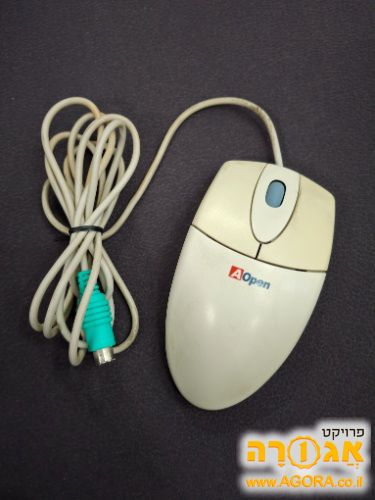 עכבר ישן