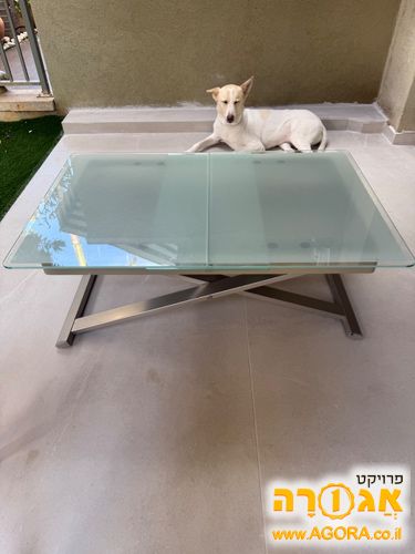 שולחן סלון זכוכית