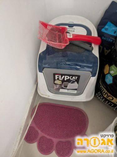 ארגז חול לחתולים