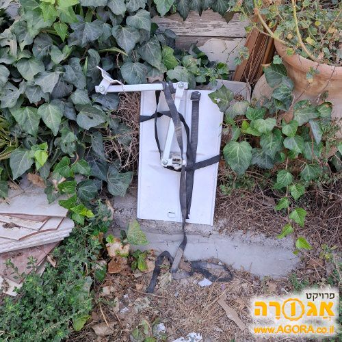 זרוע טלוויזיה