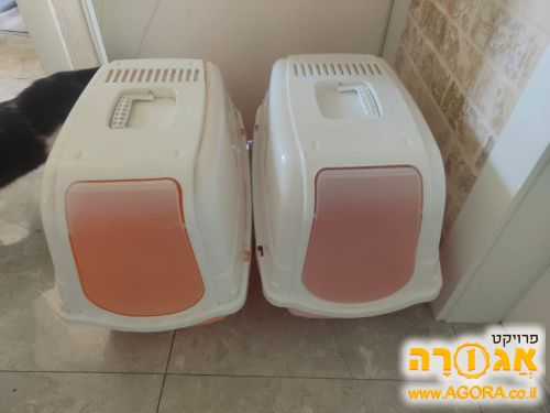 ארגז חול סגור לחתול