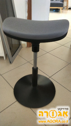 כיסא אוכף ד"ר גב
