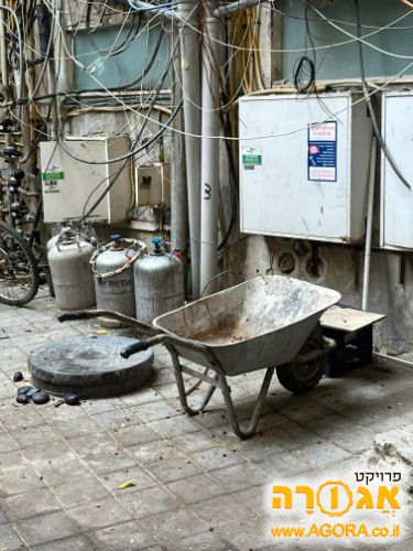 מריצה