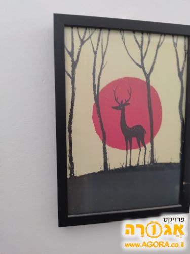 תמונה קטנה ומתוקה