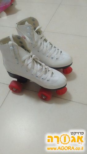 גלגיליות